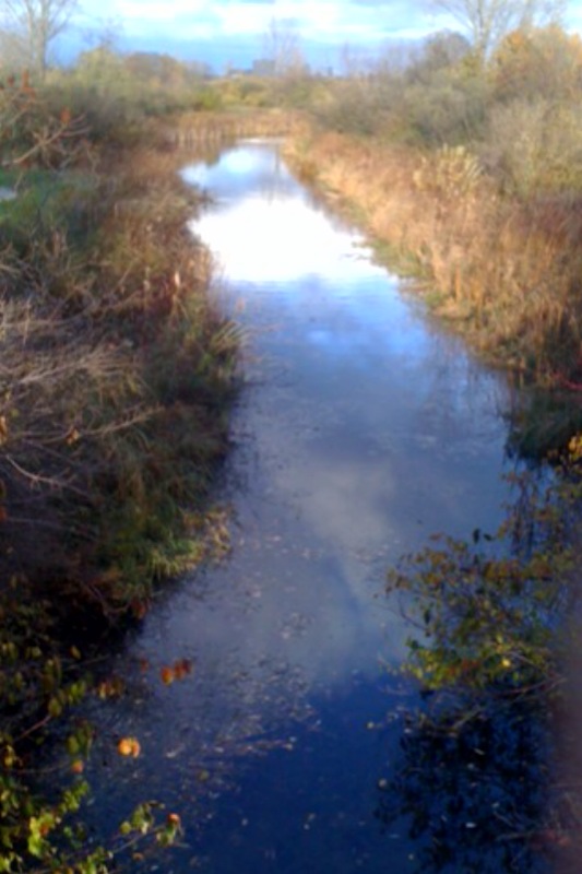 Cultivate A Sense of Wonder -The Sky #6